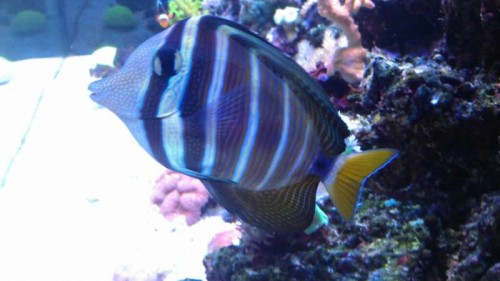 IMAG0053.jpg