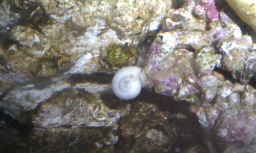 IMAG0418.jpg