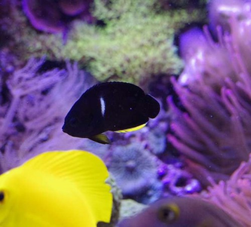 _IGP7615.jpg