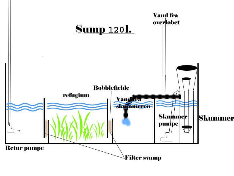 sump2.jpg