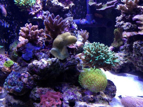 december 2012 041.JPG