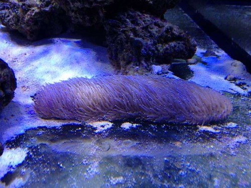 december 2012 042.JPG