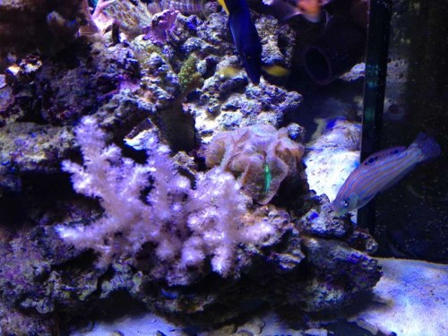 december 2012 043.JPG