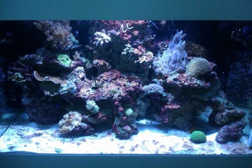 IMAG0106.jpg
