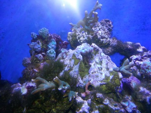 20121225_180246.jpg
