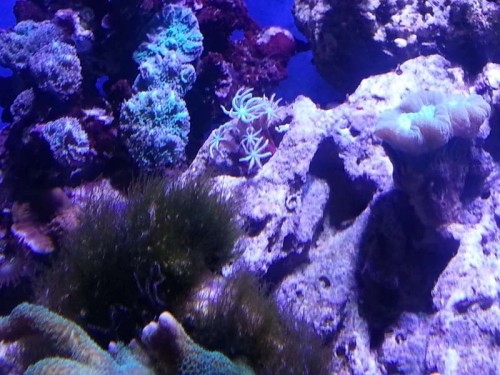 20121225_180500.jpg