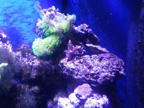 20121225_180520.jpg