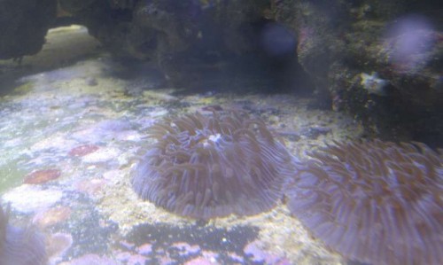 IMAG0750.jpg