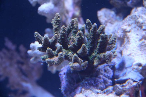 IMG_5344.JPG