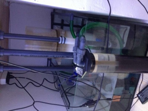 hoved sump