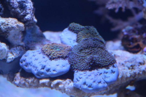 IMG_5361.JPG