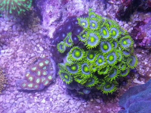 20121114_201803.jpg