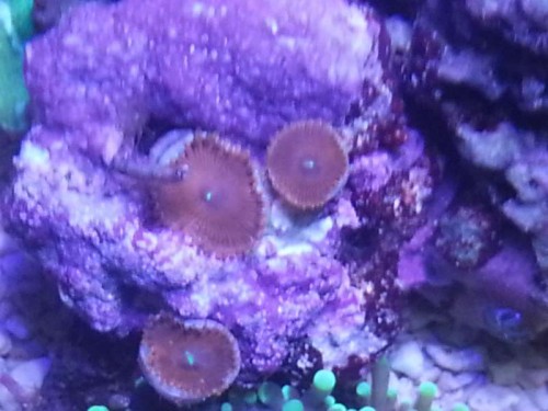 20130106_173706.jpg