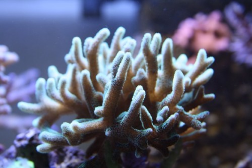 IMG_7949.JPG