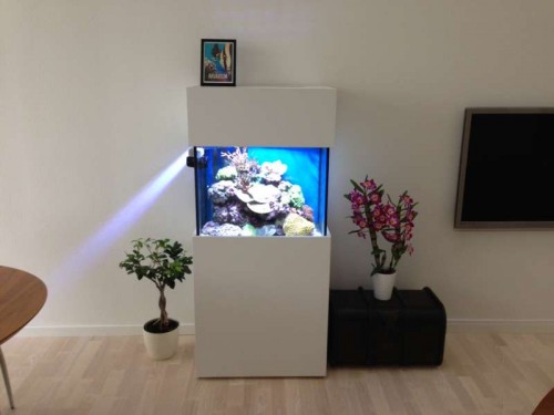 foto1.JPG