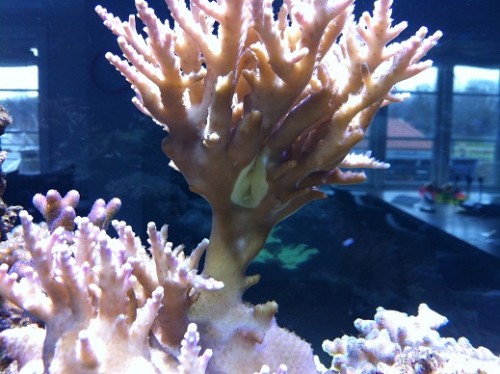2013-01-10 12.08.22.jpg