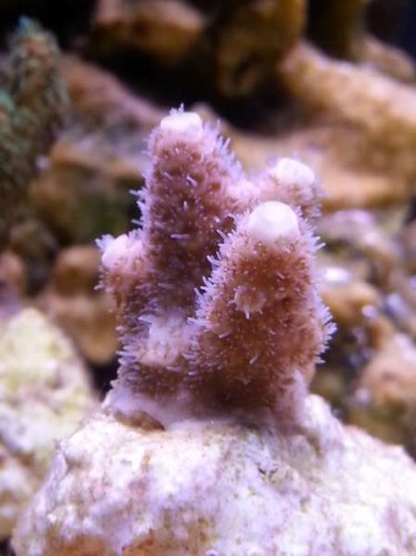 20130115_213216.jpg