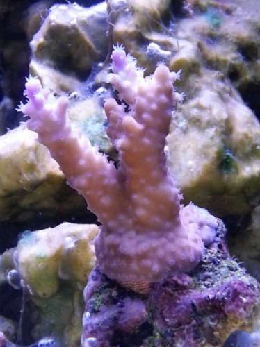 20130115_213452.jpg