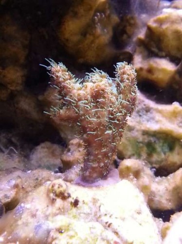 20130115_213525.jpg