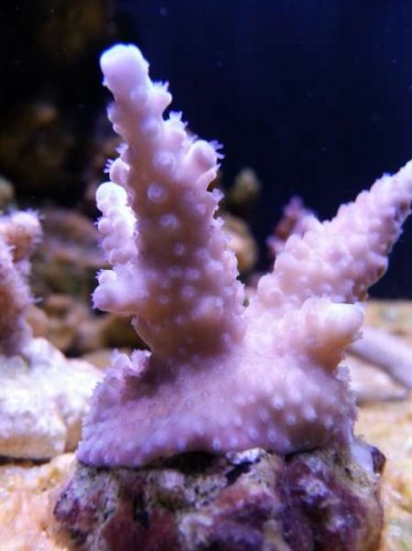 20130115_213537.jpg