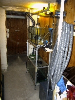 DMC_0042.JPG