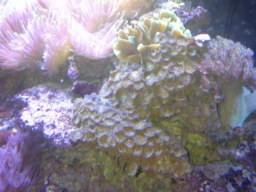 20130121_173747.jpg
