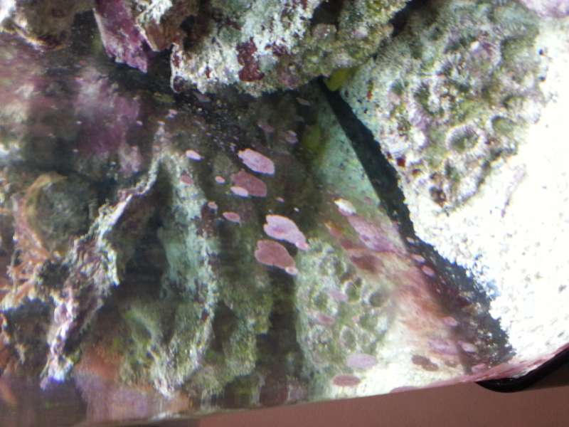 20130122_172116.jpg