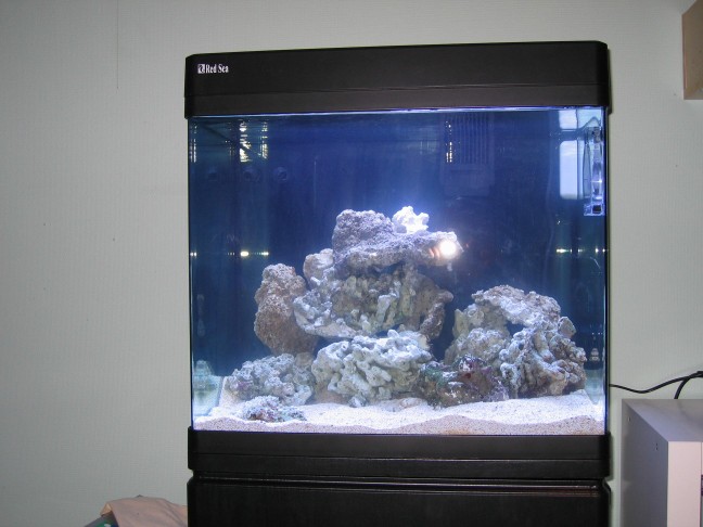 Akvariet 19-3-2007 (648 x 486).jpg