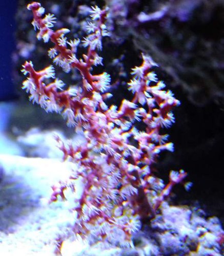 DSCF8162.jpg