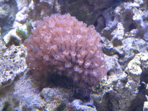 IMG_0995.JPG