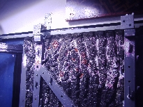 DMC_0010.JPG