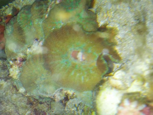 20130205_230447.jpg