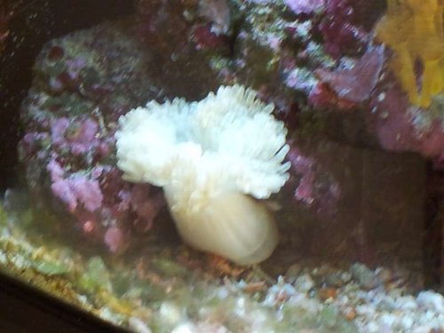 20130206_154317.jpg