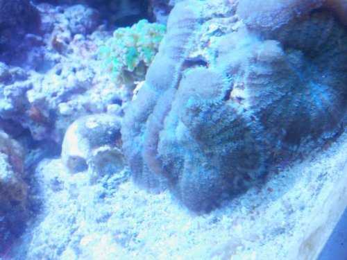 20130207_094205.jpg