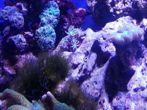 20121225_180500.jpg