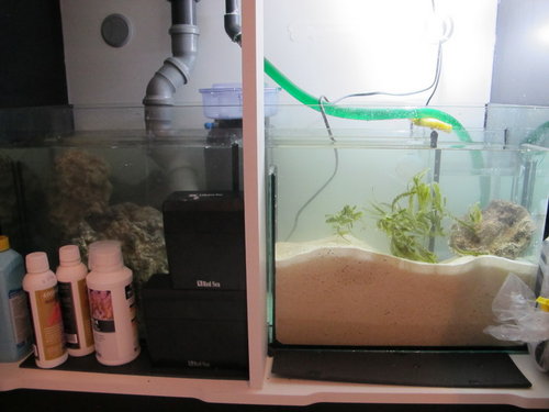 Sump.JPG