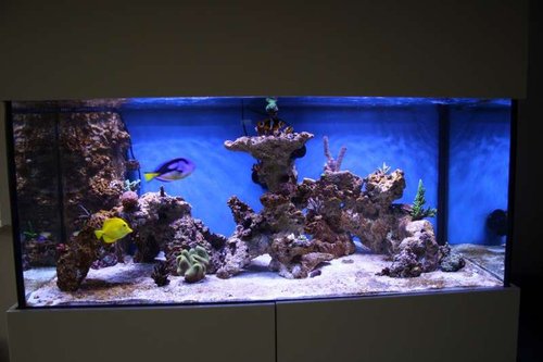 FTS.JPG