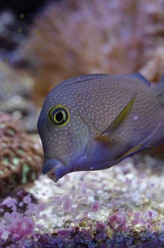 _IGP8148.jpg