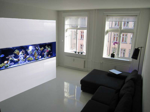 Reef%20tank%20in%20living%20room.jpg