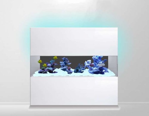 reef%20tank%20with%20back%20wall%20LED.jpg