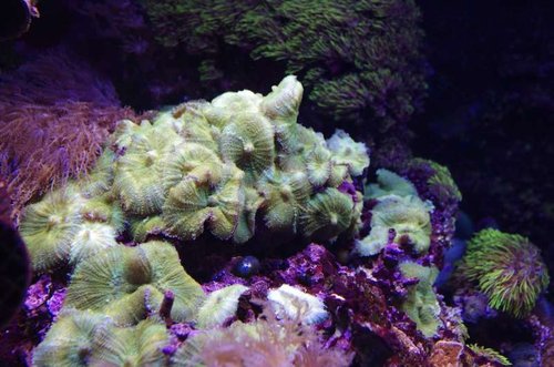 _IGP8450.JPG