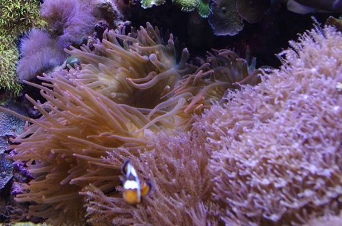 _IGP8451.JPG
