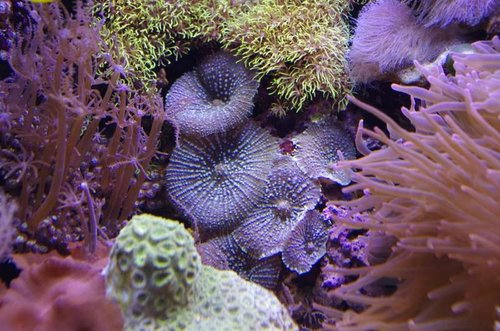 _IGP8453.JPG