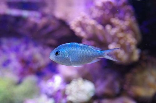 _IGP8463.JPG