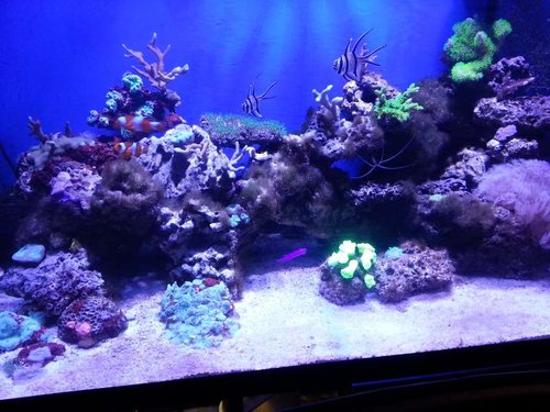 20130226_200845.jpg