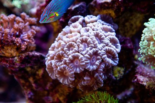 1 marts (1 of 44).jpg