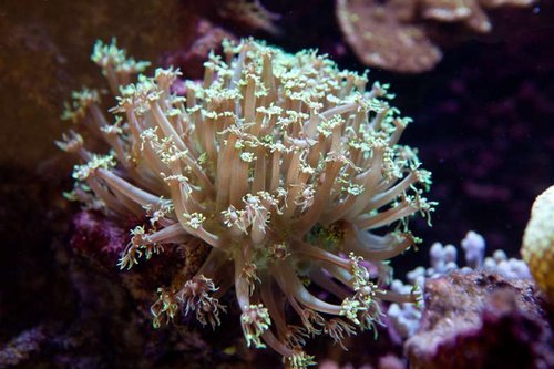1 marts (3 of 44).jpg