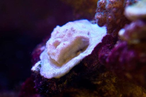 1 marts (10 of 44).jpg