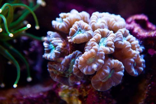 1 marts (12 of 44).jpg