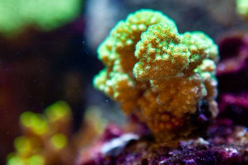 1 marts (19 of 44).jpg
